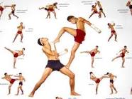 muay thai alla kung fu academy caserta